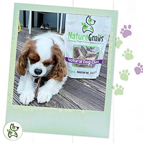 Nature Gnaws Small Bully Sticks for Dogs - Premium Natural Beef B...
