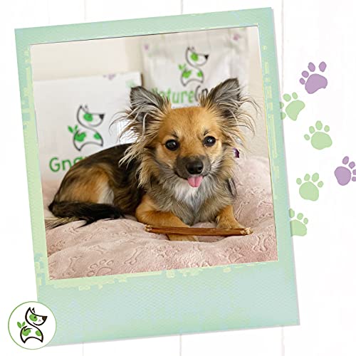 Nature Gnaws Small Bully Sticks for Dogs - Premium Natural Beef B...