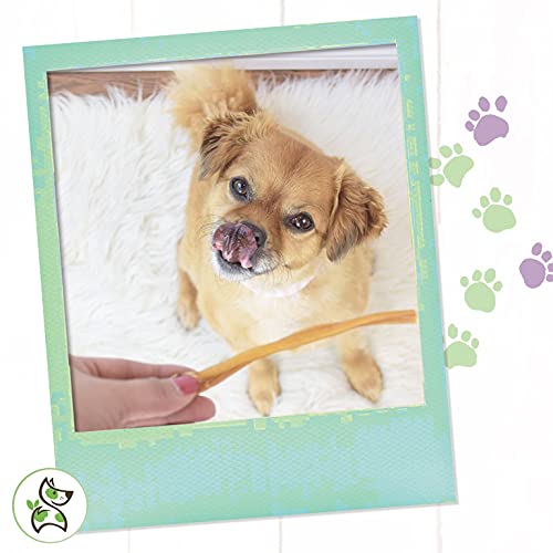 Nature Gnaws Super Skinny Bully Sticks for Very Small Dogs - Prem...