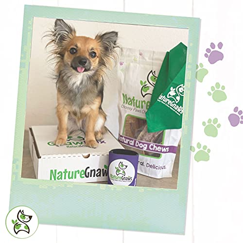 Nature Gnaws Thin Bully Sticks for Small Dogs - Premium Natural B...