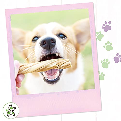 Nature Gnaws Tripe Twists for Dogs - Premium Natural Beef Sticks ...
