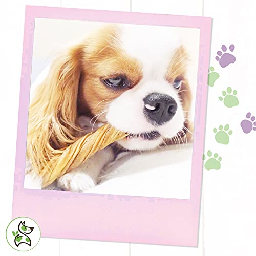 Nature Gnaws Tripe Twists for Dogs - Premium Natural Beef Sticks ...