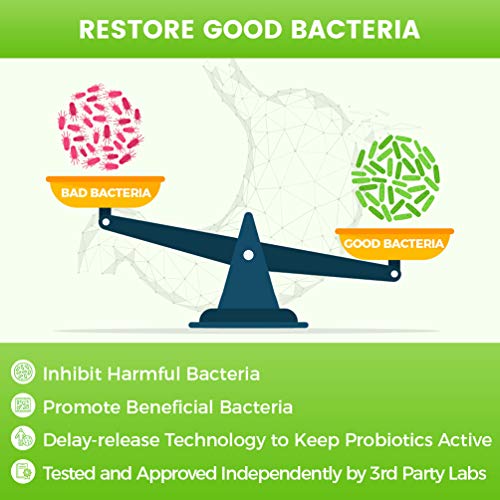 Probiotics for Women-Men-Kids Probiotic Powder Supplement - Prebi...
