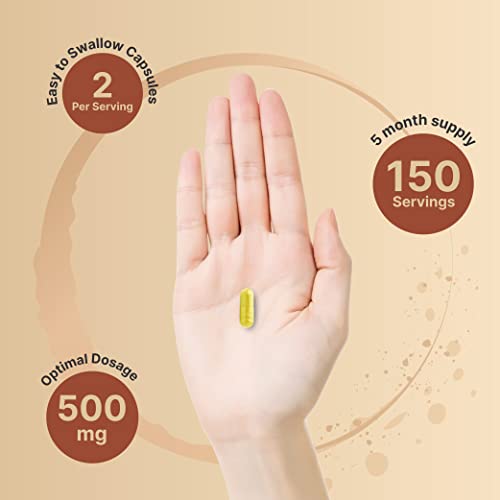 NatureBell Quercetin 500mg Per Serving | 300 Capsules, Ultra Stre...