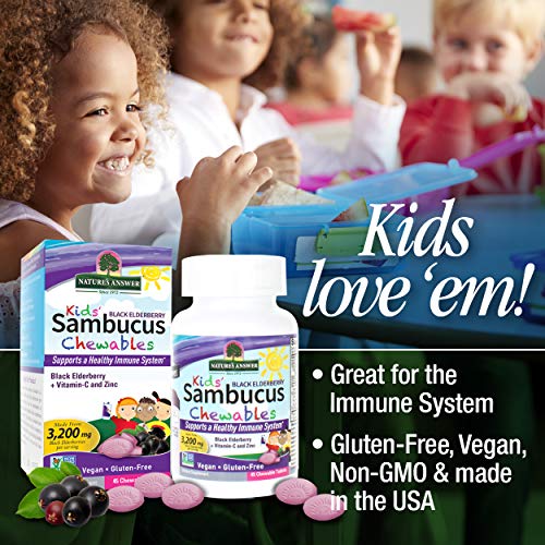 Nature’s Answer Kids Sambucus Chewables Black Elderberry with Vit...