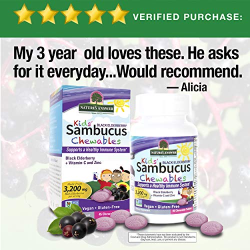 Nature’s Answer Kids Sambucus Chewables Black Elderberry with Vit...