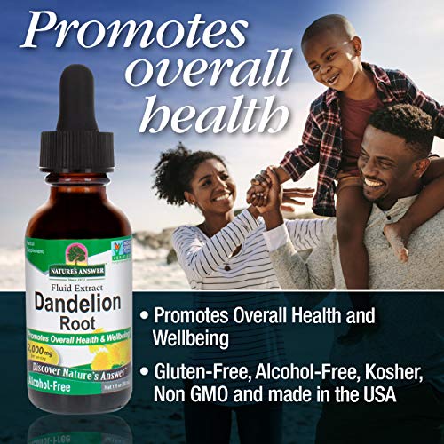 Natures Answer Alcohol Free Dandelion Root, 1 Fluid Ounce