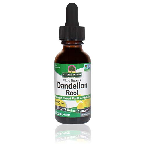 Natures Answer Alcohol Free Dandelion Root, 1 Fluid Ounce