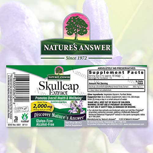 Natures Answer Alcohol-Free Skullcap Herb Extract Supplement 1-F...