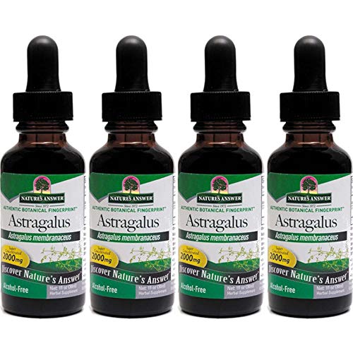 Natures Answer Astragalus Root, 1 Ounces each Value Pack of 4
