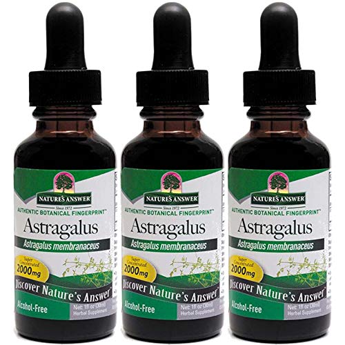Natures Answer Astragalus Root, 1 Ounces each Value Pack of 3