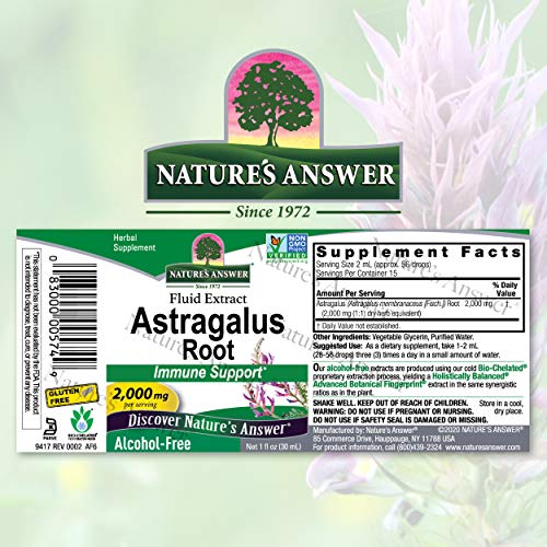 Natures Answer Astragalus Root Alcohol Free Herbal Supplement 1 ...