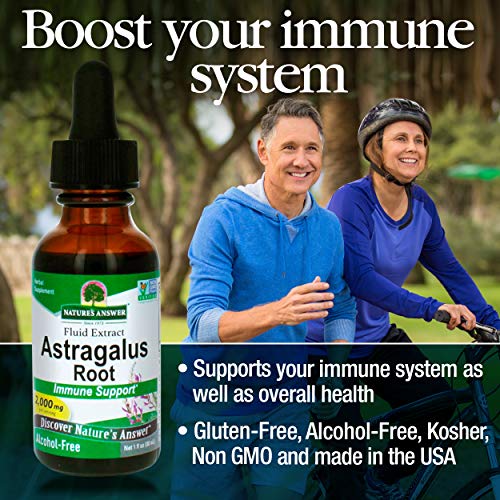 Natures Answer Astragalus Root Alcohol Free Herbal Supplement 1 ...