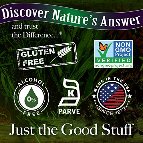 Natures Answer Astragalus Root Alcohol Free Herbal Supplement 1 ...