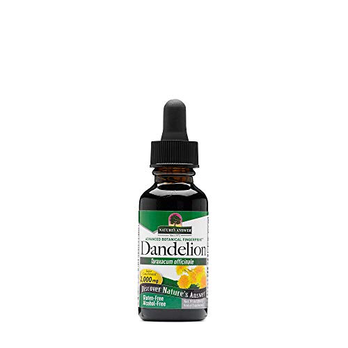 Natures Answer, Dandelion, 1 Fl Oz