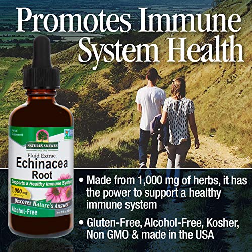 Natures Answer Echinacea Extract | Supports a Healthy Immune Sys...
