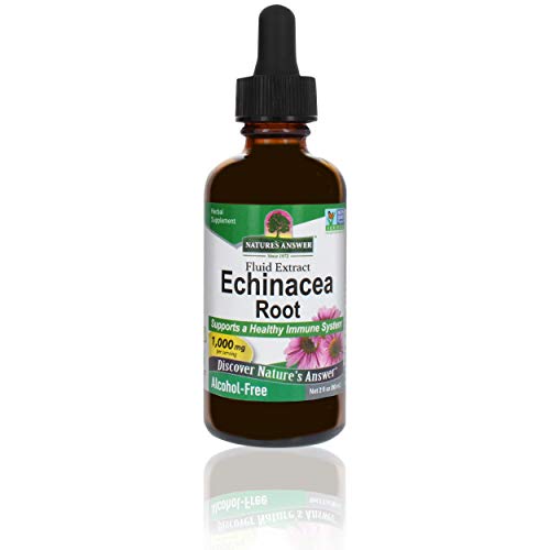 Natures Answer Echinacea Extract | Supports a Healthy Immune Sys...