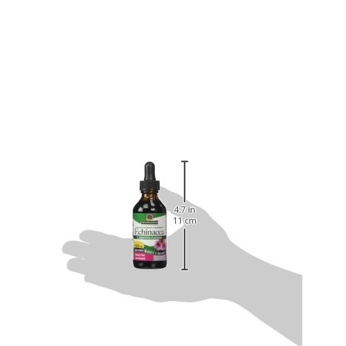 Natures Answer Echinacea with Organic Alcohol, 2-Fluid Ounces