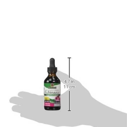 Natures Answer Echinacea with Organic Alcohol, 2-Fluid Ounces