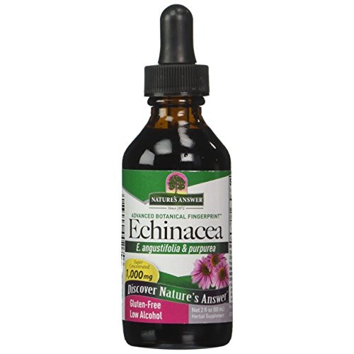 Natures Answer Echinacea with Organic Alcohol, 2-Fluid Ounces