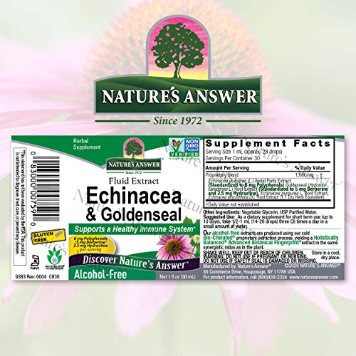 Natures Answer Enchinacea & Goldenseal | Supports a Healthy Immu...