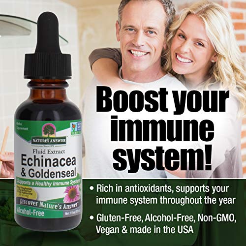 Natures Answer Enchinacea & Goldenseal | Supports a Healthy Immu...