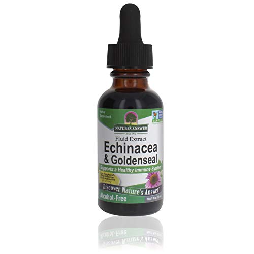 Natures Answer Enchinacea & Goldenseal | Supports a Healthy Immu...