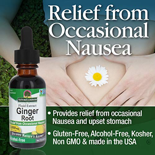 Natures Answer Ginger Root Alcohol Free Extract 1 Ounce | Joint ...