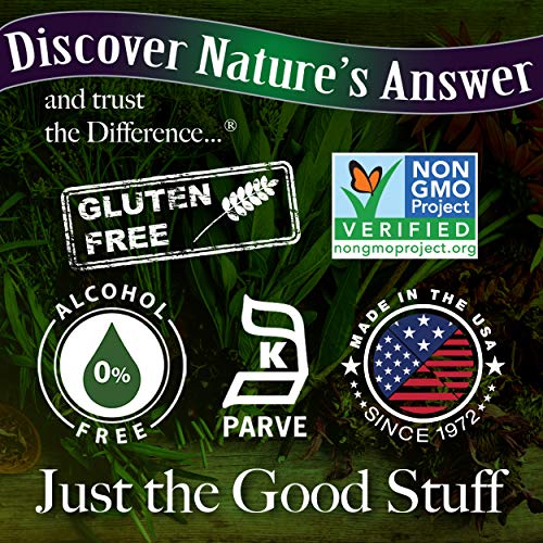 Natures Answer Ginger Root Alcohol Free Extract 1 Ounce | Joint ...