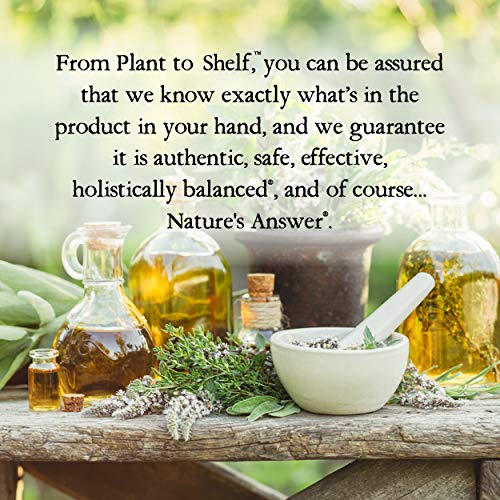 Natures Answer Ginger Root Alcohol Free Extract 1 Ounce | Joint ...