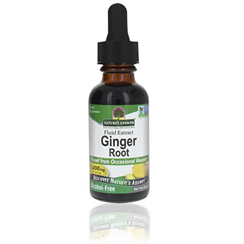 Natures Answer Ginger Root Alcohol Free Extract 1 Ounce | Joint ...