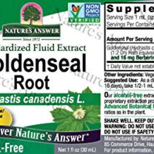 Natures Answer Golden Seal Root Extract Alcohol Free 1 Ounce | N...