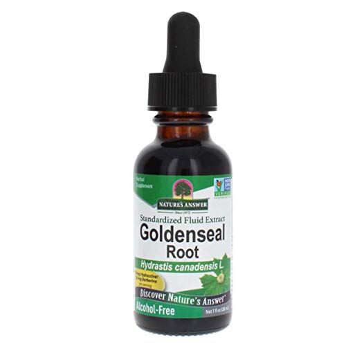 Natures Answer Golden Seal Root Extract Alcohol Free 1 Ounce | N...