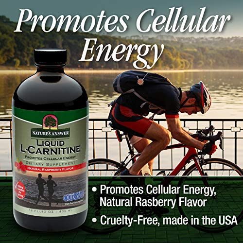 Natures Answer Liquid L-Carnitine Raspberry flavor 1200 mg 16-Fl...