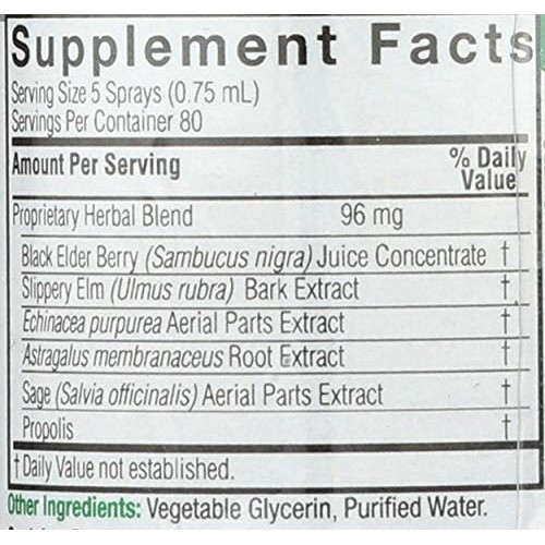 Natures Answer Sambucas Spray, 2 FZ