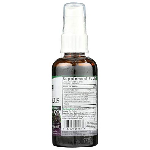 Natures Answer Sambucas Spray, 2 FZ