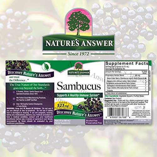 Natures Answer Sambucus Elderberry Syrup Spray - 2 Fluid Ounces ...