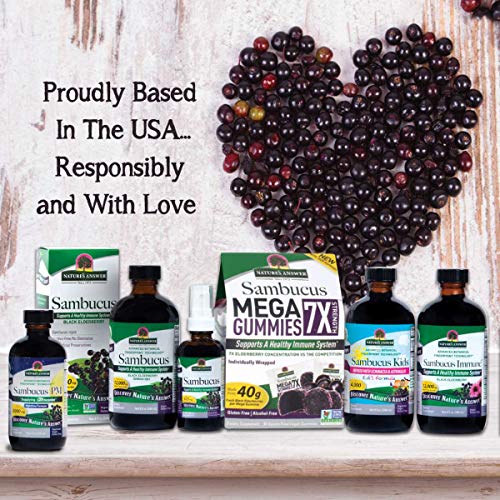 Natures Answer Sambucus Elderberry Syrup Spray - 2 Fluid Ounces ...