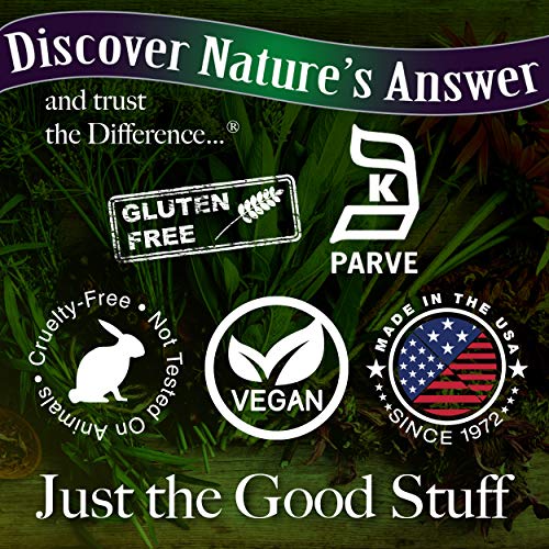 Natures Answer Sambucus Spray Pack of 2 | Supports a Healthy...