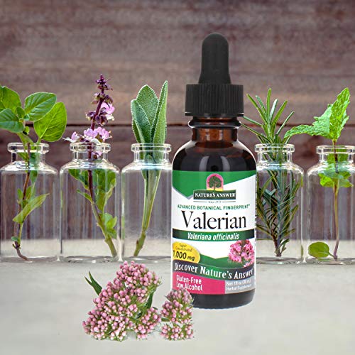 Natures Answer Valerian Root with Organic Low Alcohol 1 Ounce | ...