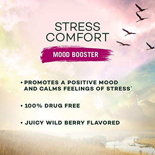Natures Bounty Natures bounty Stress Comfort Mood Booster 100 G...