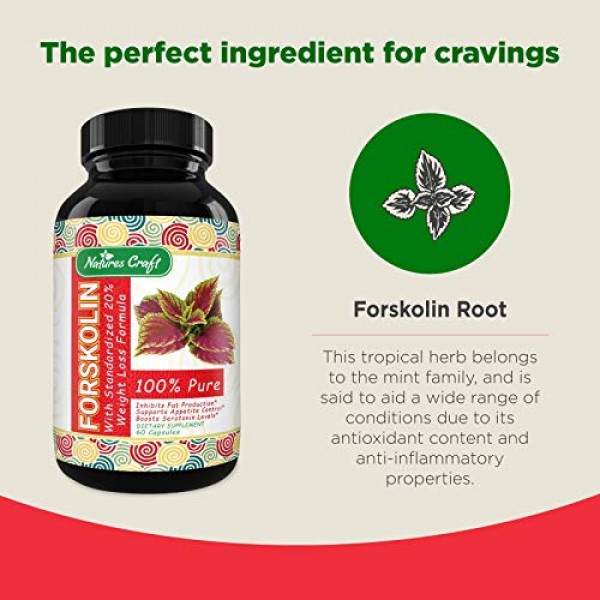 100% Pure Forskolin Extract 60 Capsules - High Quality Weight Los...