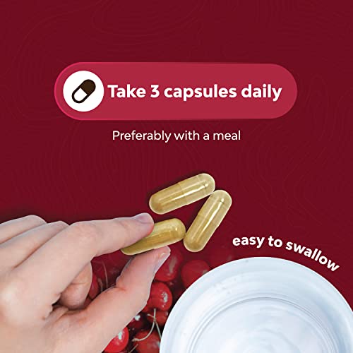 Advanced Tart Cherry Extract Capsules - Extra Strength 7500mg Equ...