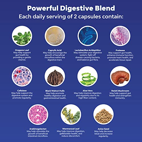 Daily Cleanse Gut Health Supplement - Gut Cleanse Probiotic Suppl...