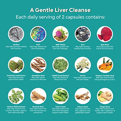 Liver Support Supplement with NAC - Herbal Liver Supplement with ...