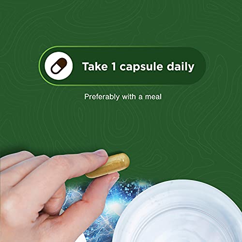 Nootropic Memory Supplement for Brain Support - Memory Pills for ...