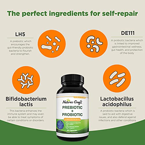 Prebiotics and Probiotics Gut Health Supplement - Super Potent Di...