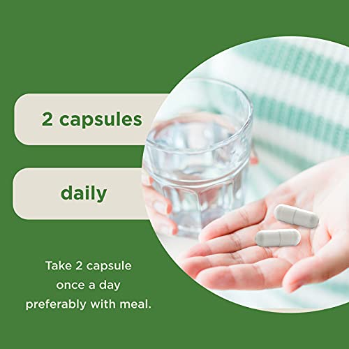 Prebiotics and Probiotics Gut Health Supplement - Super Potent Di...