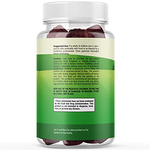 Sambucus Elderberry Gummies Kids Vitamins - Delicious Black Elder...