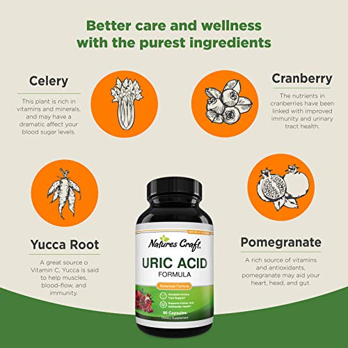 Uric Acid Support Joint Supplement - Uric Acid Cleanse Antioxidan...